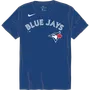 Nike MLB Adult/Youth Short Sleeve Cotton Tee N199 / NY28 TORONTO BLUE JAYS
