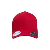 Flexfit Adult Pro-Formance Solid Cap 110C