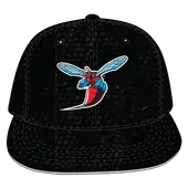 W Republic Velvet Snapback Cap Delaware State University Hornets 1024-120