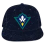 W Republic Velvet Snapback Cap North Carolina Wilmington Seahawks 1024-139