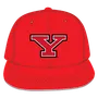 W Republic Velvet Snapback Cap Youngstown State Penguins 1024-159