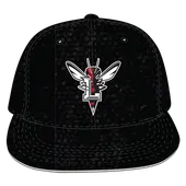 W Republic Velvet Snapback Cap Lynchburg Hornets 1024-179