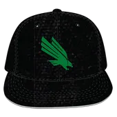 W Republic Velvet Snapback Cap North Texas Mean Green 1024-195