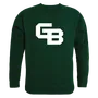 W Republic College Crewneck Sweatshirt Wisconsin Green Bay Phoenix 508-397