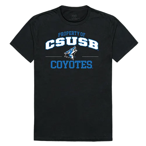 W Republic Property Tee Shirt Cal State San Bernardino Coyotes 517-207