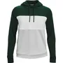 Under Armour Women's Qualifier Fleece Blocked Hoodie 1351234