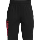 Under Armour Boys' Prototype 2.0 Wordmark Shorts 1361818