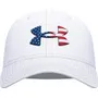 Under Armour Men's Freedom Blitzing Hat 1362236