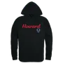 W Republic Script Hoodie Howard Bison 558-171