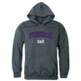 W Republic Dad Hoodie Furman University 563-220