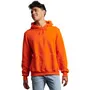 Russell Athletic Unisex Dri-Power Hooded Sweatshirt 695HBM