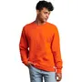 Russell Athletic Unisex Dri-Power Crewneck Sweatshirt 698HBM