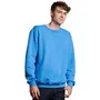 Russell Athletic Unisex Dri-Power Crewneck Sweatshirt 698HBM