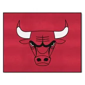 Fan Mats Chicago Bulls All-Star Rug - 34 In. X 42.5 In.