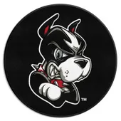 Fan Mats Boston Terriers Hockey Puck Rug - 27In. Diameter