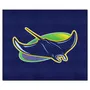 Fan Mats Tampa Bay Rays Tailgater Rug - 5Ft. X 6Ft.