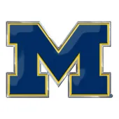 Fan Mats Michigan Wolverines Heavy Duty Aluminum Embossed Color Emblem