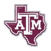 Fan Mats Texas A&M Aggies Team State Aluminum Embossed Emblem