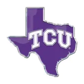 Fan Mats Tcu Horned Frogs Team State Aluminum Embossed Emblem