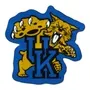 Fan Mats Kentucky Wildcats Mascot Rug
