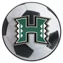 Fan Mats Hawaii Rainbows Soccer Ball Rug - 27In. Diameter