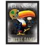 Holland Notre Dame - Guinness (Toucan) 26"x15" Wall Mirror
