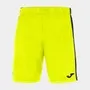 FLUORESCENT YELLOW-BLACK