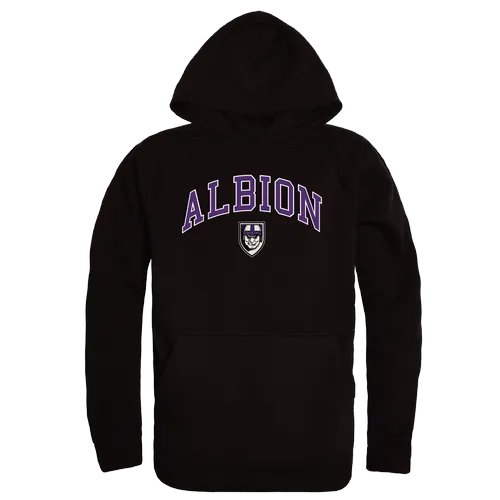 W Republic Campus Hoodie Albion Britons 540-497