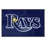 Fan Mats Tampa Bay Rays 4X6 High-Traffic Mat With Durable Rubber Backing - Landscape Orientation