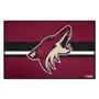 Fan Mats Arizona Coyotes Starter Mat Accent Rug - 19In. X 30In.
