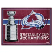 Fan Mats Colorado Avalanche Dynasty 8Ft. X 10Ft. Plush Area Rug