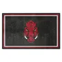 Fan Mats Arkansas Razorbacks 4Ft. X 6Ft. Plush Area Rug