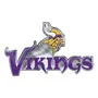 Fan Mats Minnesota Vikings Heavy Duty Aluminum Embossed Color Emblem - Alternate