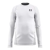 Under Armour Boys' Coldgear Armour Long Sleeve 1366372