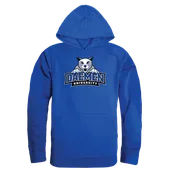 W Republic Daemen College Wildcats The Freshman Hoodie 512-513