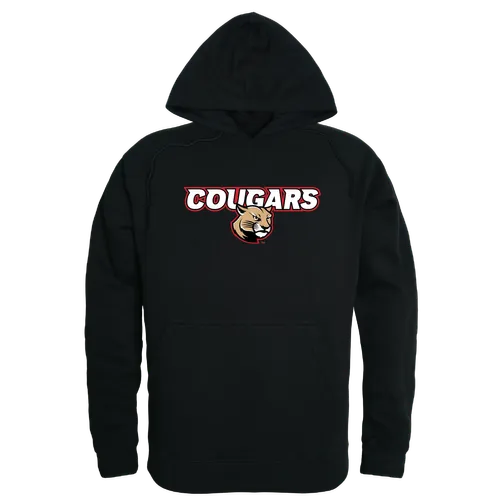 W Republic Southern Illinois Edwardsville Cougars Campus Hoodie 540-429. Decorated in seven days or less.