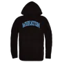 W Republic Wheaton College Lyons Campus Hoodie 540-605