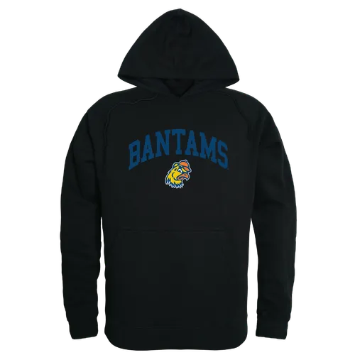 W Republic Trinity Bantams Campus Hoodie 540-699. Decorated in seven days or less.