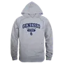 W Republic SUNY Geneseo Knights Alumni Hoodie 561-520