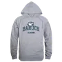 W Republic Baruch College Bearcats Alumni Hoodie 561-701