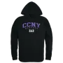 W Republic CCNY Beavers Dad Hoodie 563-633