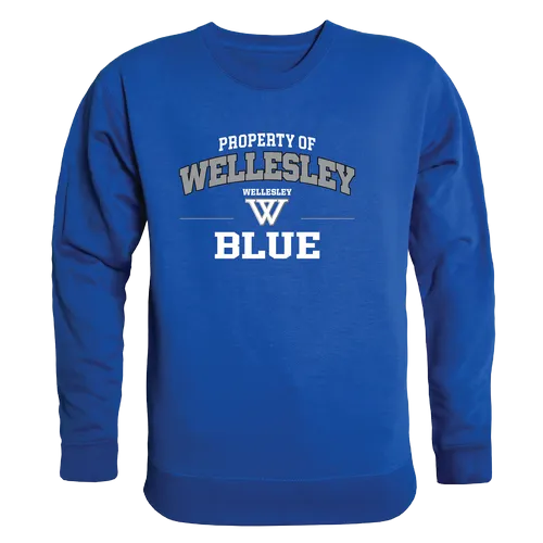 W Republic Wellesley College Blue Property Of Crewneck 545-486