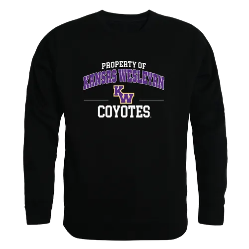 W Republic Kansas Wesleyan Coyotes Property Of Crewneck 545-658