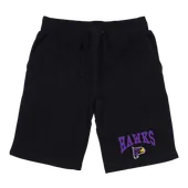 W Republic Hunter College Hawks Premium Shorts 567-654