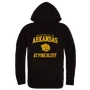 W Republic Arkansas Pine Bluff Golden Lions Hoodie 569-418