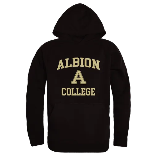 W Republic Albion Britons Hoodie 569-497. Decorated in seven days or less.