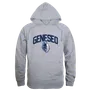 W Republic SUNY Geneseo Knights Hoodie 569-520