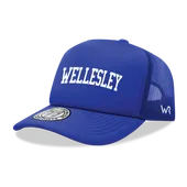 W Republic Wellesley College Blue Game Day Printed Hat 1042-486