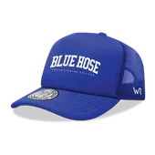 W Republic Presbyterian College Blue Hose Game Day Printed Hat 1042-472