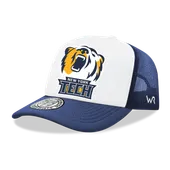 W Republic New York Tech Bears Jumbo College Caps 1030-556